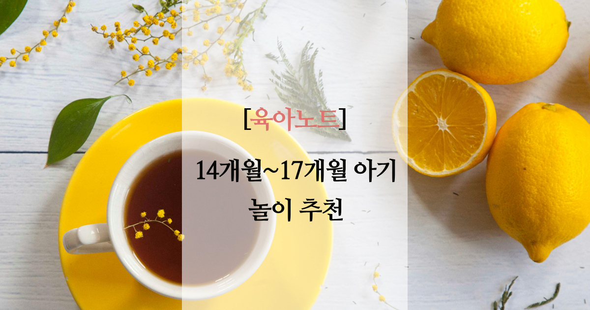 14개월~17개월 놀이 추천