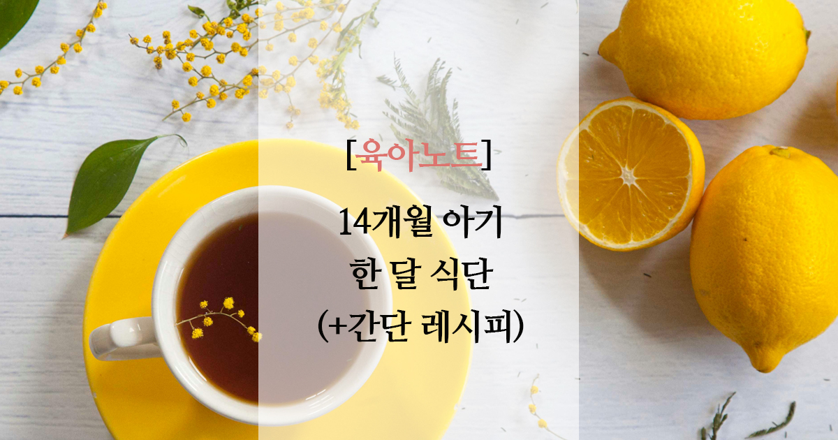 14개월 아기 한달 식단 (간단 레시피)