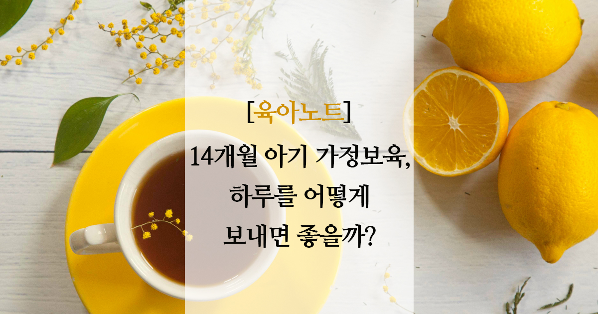 14개월 가정보육 루틴 | 하루를 알차게 보내는 방법