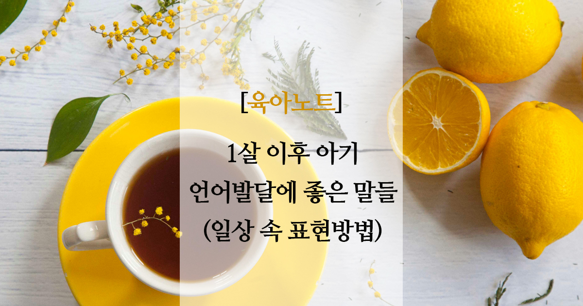 1살 이후 아기 언어발달, 매일 해주면 좋은 말 6가지
