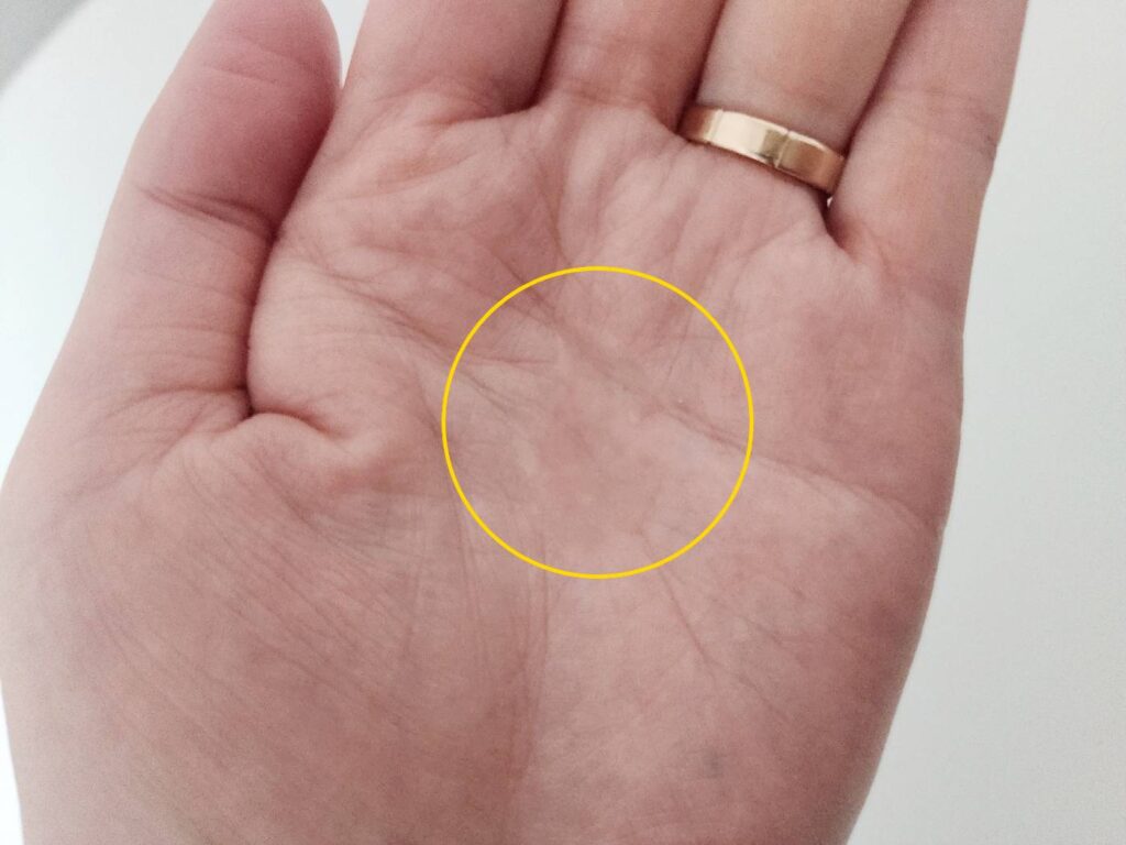 다이소 닥터오라클 토닉에센스의 겔타입 제형