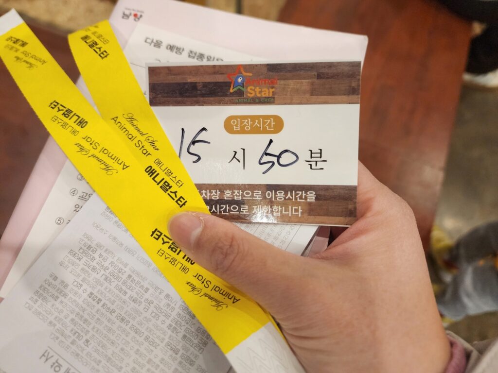 대전 애니멀스타 동물카페 입장 시