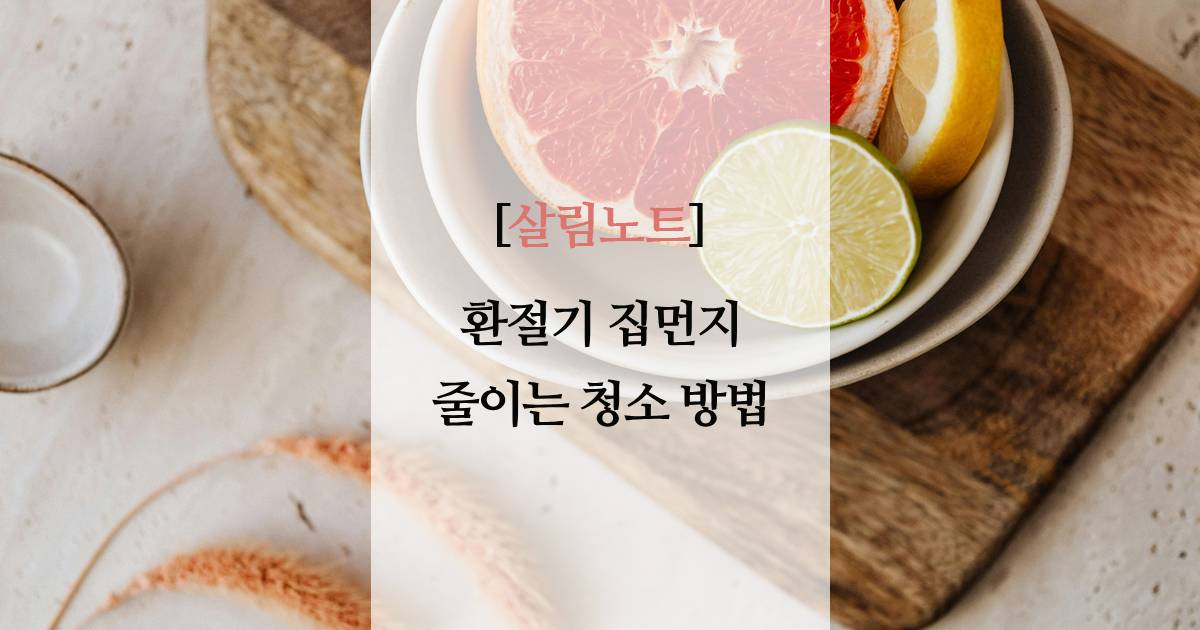 환절기 집먼지 줄이는 청소 방법