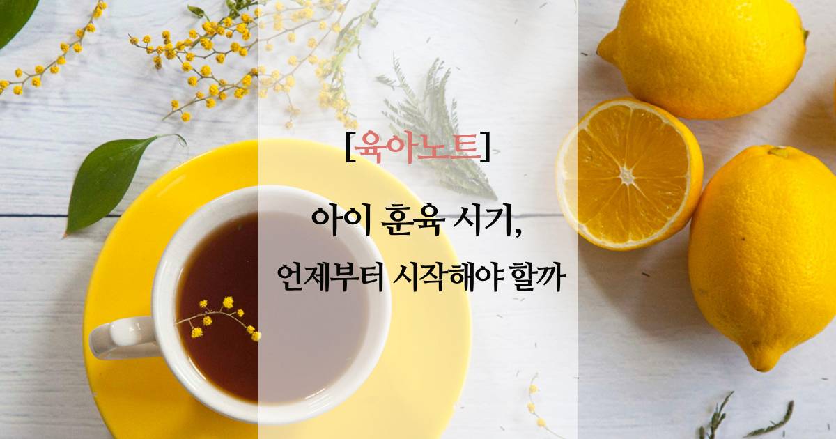 아이 훈육 시기, 언제부터 시작해야 할까