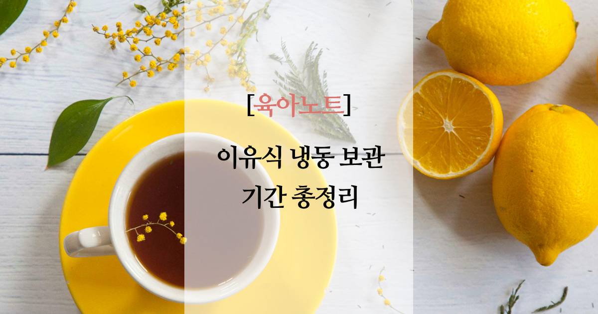 이유식 냉동 보관 기간 총정리