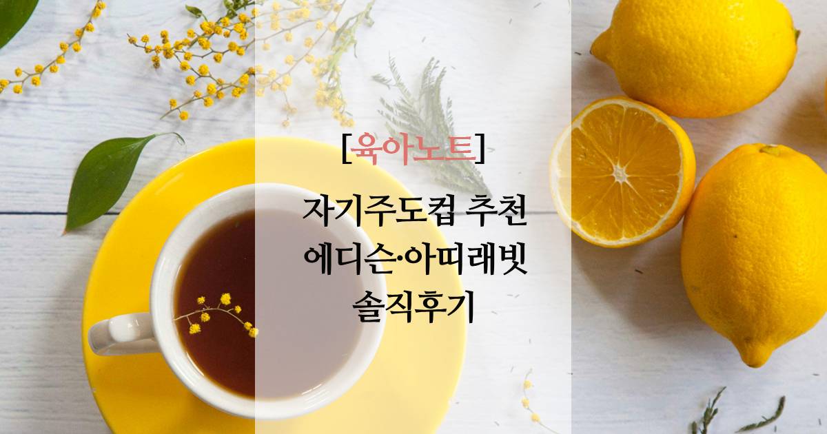 자기주도컵 추천, 에디슨·아띠래빗 솔직후기