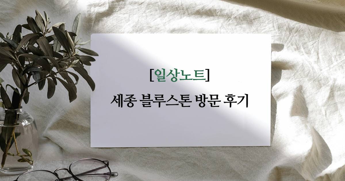 세종 블루스톤 방문 후기